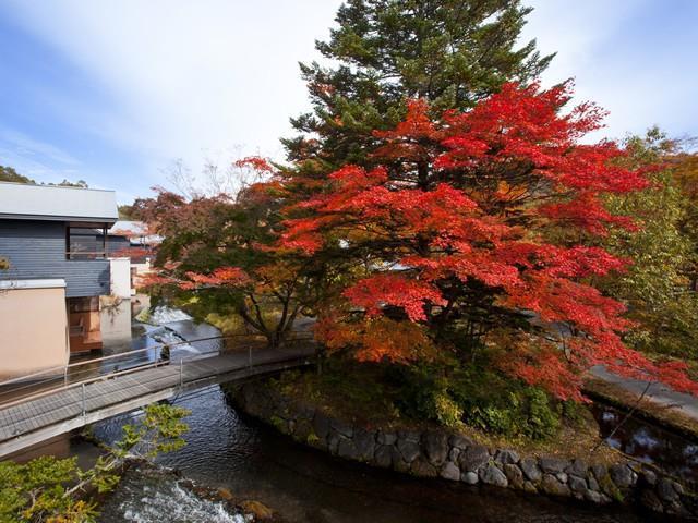 Hoshinoya Karuizawa Villa Удобства снимка